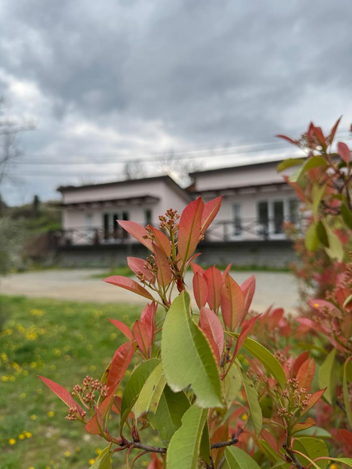 Bora Kuce Na Reci Villa Белград Екстериор снимка