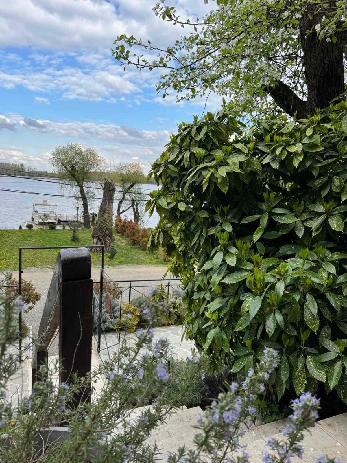 Bora Kuce Na Reci Villa Белград Екстериор снимка